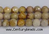 CFC228 15.5 inches 4mm faceted round fossil coral beads