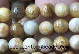 CFC320 15.5 inches 4mm round fossil coral beads wholesale