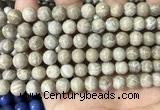 CFC332 15.5 inches 8mm round fossil coral beads wholesale