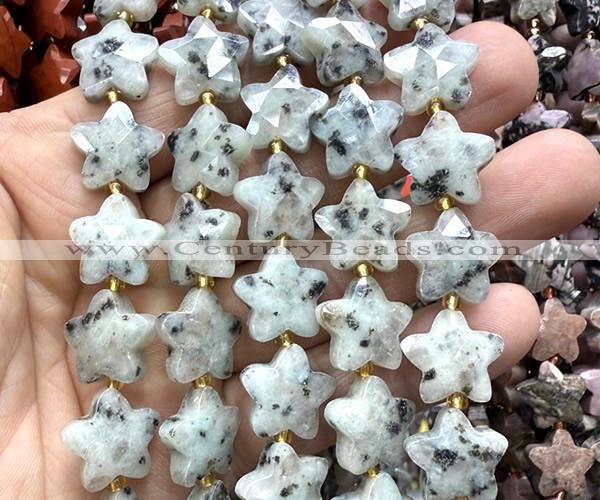 CFG1665 15 inches 14mm carved star sesame jasper beads