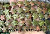 CFG1670 15 inches 14mm carved star unakite gemstone beads