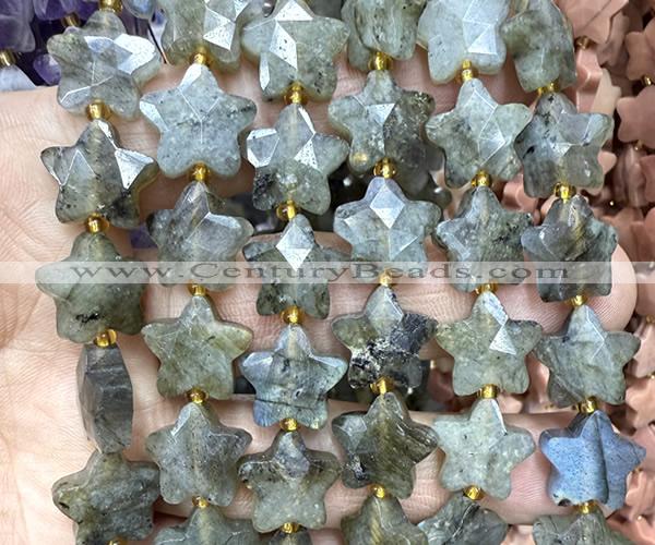 CFG1678 15 inches 14mm carved star labradorite gemstone beads