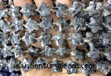 CFG1679 15 inches 14mm carved star black labradorite beads