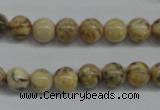 CFS02 15.5 inches 10mm round natural feldspar gemstone beads