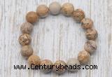 CGB5373 10mm, 12mm round picture jasper beads stretchy bracelets