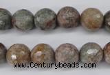 CGG15 15.5 inches 12mm faceted round ghost gemstone beads wholesale