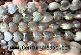 CHG363 15 inches 14mm faceted heart blood jasper beads