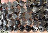 CHG376 15 inches 14mm faceted heart silver obsidian beads