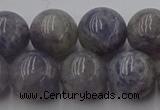 CIL103 15.5 inches 10mm round iolite gemstone beads wholesale