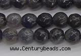 CIL118 15.5 inches 6mm faceted round iolite gemstone beads