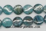 CKC22 16 inches 12mm flat round natural kyanite beads wholesale