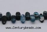 CKC30 16 inches 6*12mm marquise natural kyanite beads wholesale