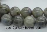 CLB102 15.5 inches 14mm round labradorite gemstone beads wholesale