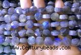 CLB1022 15.5 inches 10mm faceted coin labradorite gemstone beads