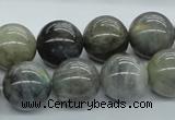 CLB103 15.5 inches 16mm round labradorite gemstone beads wholesale