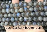 CLB1034 15.5 inches 10mm round labradorite beads wholesale