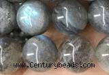 CLB1059 15.5 inches 10mm round labradorite gemstone beads