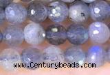 CLB1070 15.5 inches 4mm faceted round labradorite beads