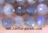 CLB1071 15.5 inches 5mm faceted round labradorite beads