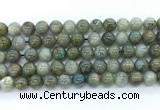 CLB1223 15.5 inches 10mm round labradorite gemstone beads