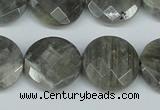 CLB193 15.5 inches 20mm faceted coin labradorite gemstone beads