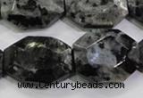 CLB325 15.5 inches 20*25mm octagonal black labradorite beads