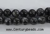 CLB352 15.5 inches 8mm round black labradorite beads wholesale