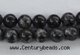 CLB353 15.5 inches 10mm round black labradorite beads wholesale