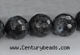 CLB365 15.5 inches 16mm faceted round black labradorite beads wholesale