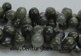 CLB631 15.5 inches 6*12mm bone AB-color labradorite beads