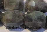 CLB704 15.5 inches 15*18mm - 20*25mm faceted nuggets labradorite beads