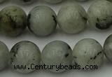 CLB854 15.5 inches 12mm round AB grade labradorite beads wholesale