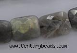 CLB95 15.5 inches 15*20mm faceted rectangle labradorite beads