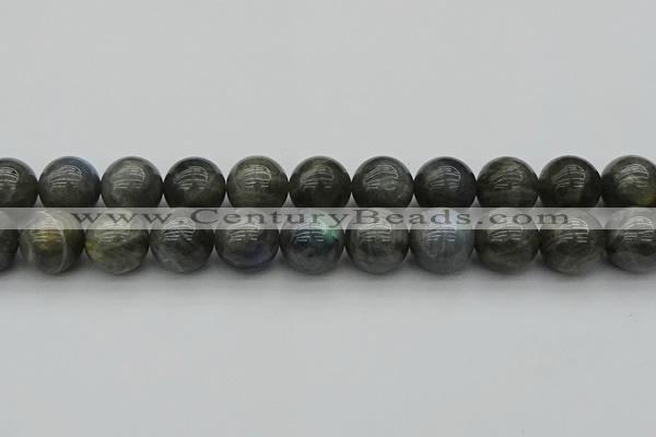 CLB954 15.5 inches 20mm round labradorite gemstone beads