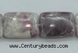 CLI64 15.5 inches 18*25mm rectangle natural lilac jasper beads wholesale