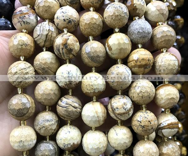 CLS416 15 inches 16mm faceted round picture jasper beads