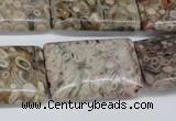 CMB28 15.5 inches 20*30mm rectangle natural medical stone beads