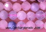 CMG396 15.5 inches 4mm faceted round morganite beads wholesale