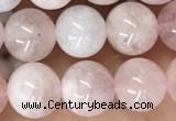 CMG410 15.5 inches 8mm round pink morganite beads wholesale