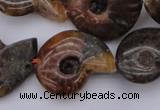 CMM01 15.5 inches 13*18mm - 30*35mm carved ammonite gemstone beads