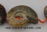 CMM02 15.5 inches 18*25mm - 35*45mm carved ammonite gemstone beads