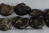 CMM51 15.5 inches 13*18mm - 15*20mm ammonite gemstone beads