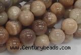 CMS03 15.5 inches 10mm round moonstone gemstone beads wholesale