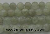 CMS1051 15.5 inches 6mm round grey moonstone beads wholesale