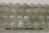 CMS1057 15.5 inches 6mm round grey moonstone beads wholesale