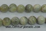 CMS121 15.5 inches 10mm round moonstone gemstone beads wholesale