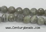 CMS124 15.5 inches 10mm faceted round moonstone gemstone beads