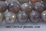 CMS1313 15.5 inches 10mm faceted round AB-color grey moonstone beads