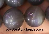 CMS1424 15.5 inches 12mm round black moonstone beads wholesale