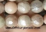 CMS1452 15.5 inches 8mm faceted round AB-color moonstone beads